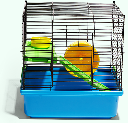 New Pet Guides Hamster Petco