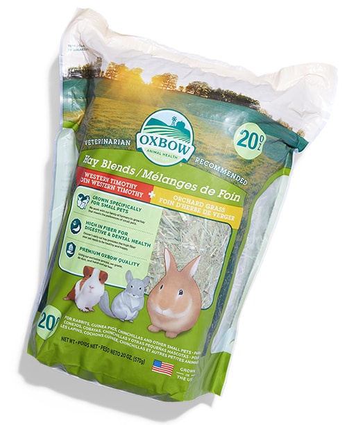 New Pet Guides Rabbit Petco