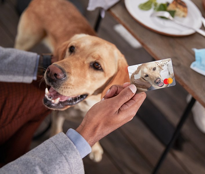 Petco Pay Credit Card The Credit Card for Pet Owners Petco