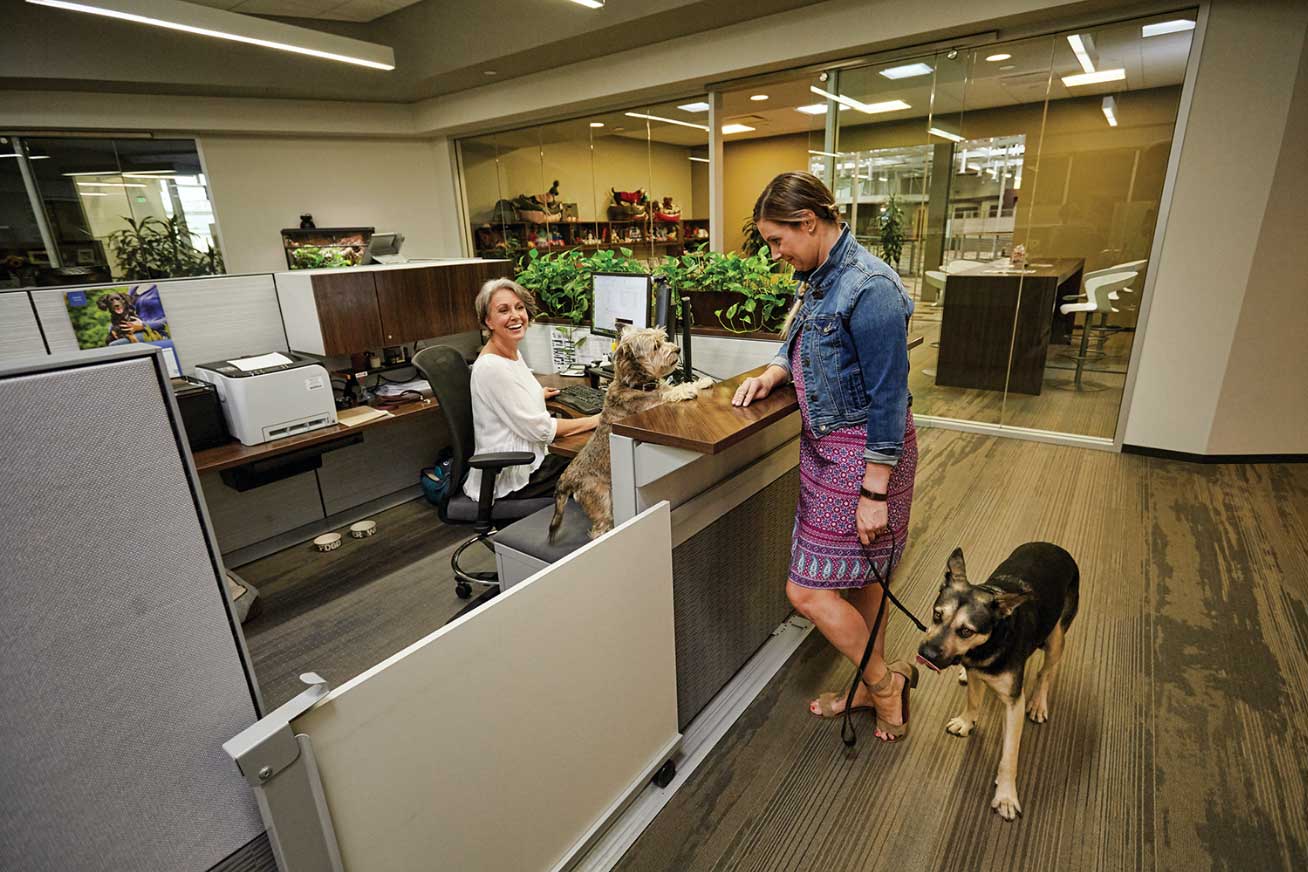 What to Know About Allowing Pets in the Office