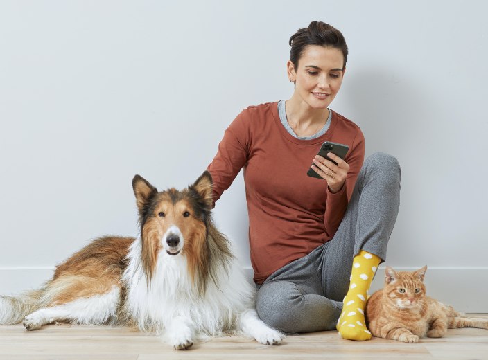 Petco Pet Insurance Plans For Dogs Cats Petco