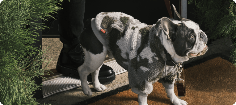 Petco shop reddy harness