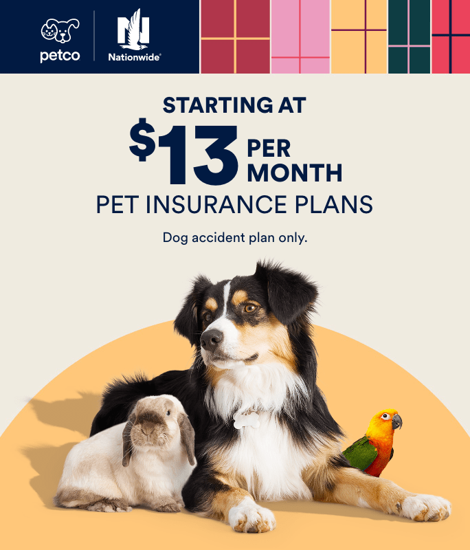 Petco yesterday's news best sale