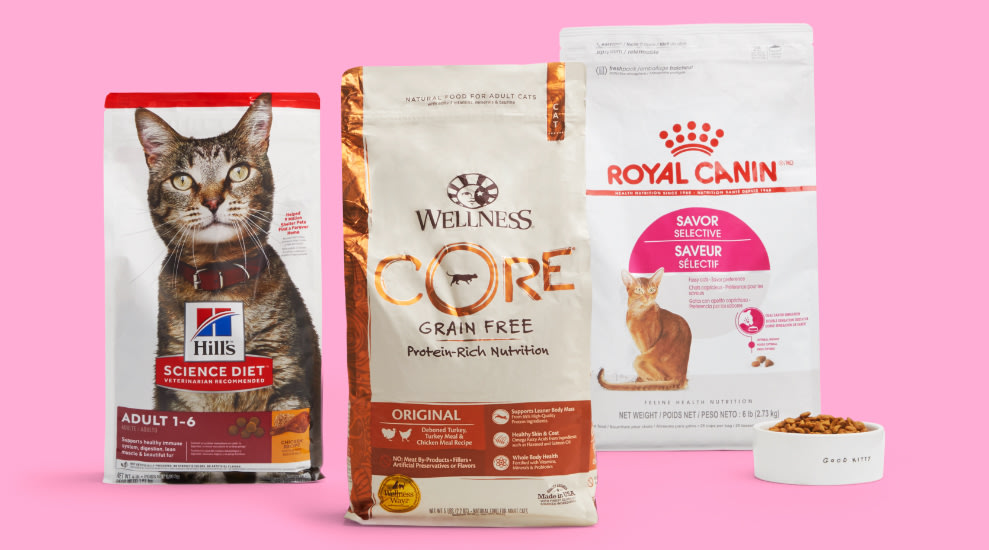 What is the best 2024 dry food for kittens