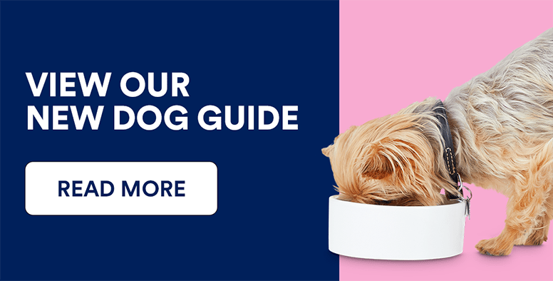 Puppy & Dog Supplies: Dog Food, Beds, Kennels & More | Petco