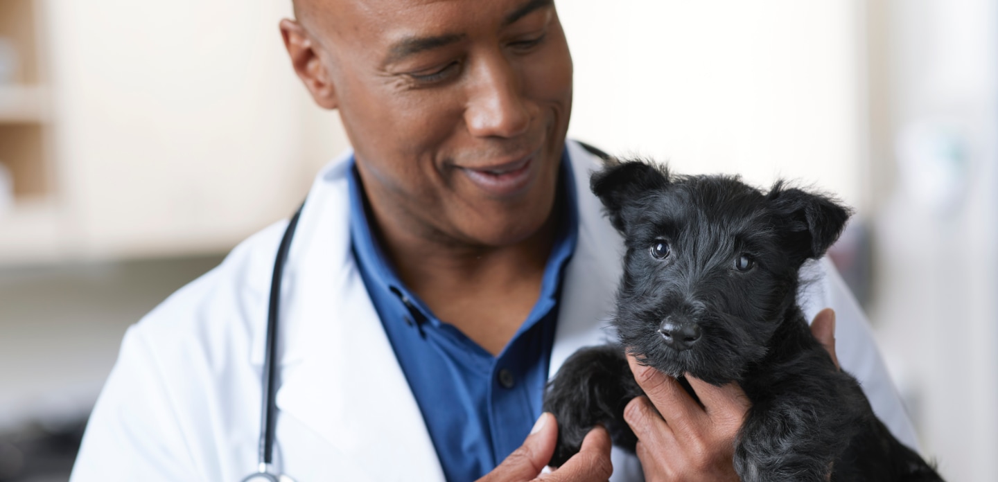 Petco Veterinary Services Quality Care for Your Pet Petco