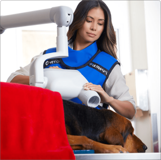 Petco Veterinary Services: Quality Care for Your Pet | Petco