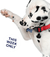 Petco products best sale for dogs