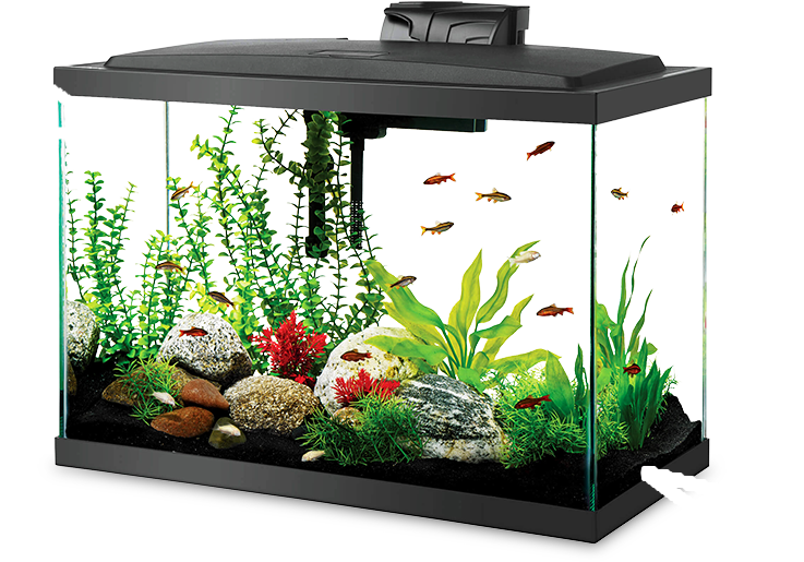 Fish Bowls, Aquarium Kits & Fish Tank Stands