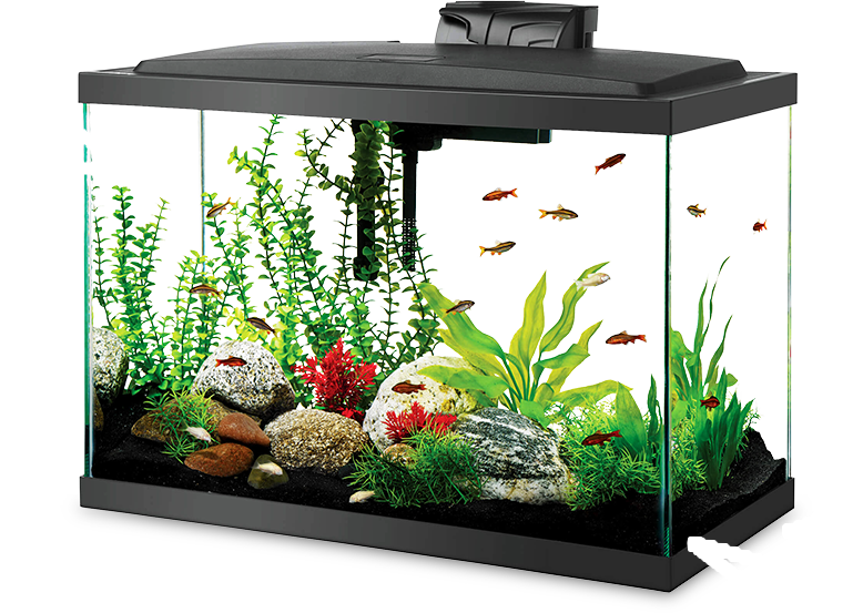 Imagitarium 5.2 Gallon Freshwater Aquarium