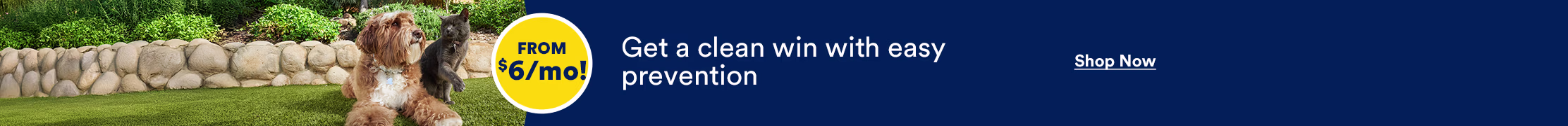From $6/mo! Get a clean win with easy prevention. Shop Now.