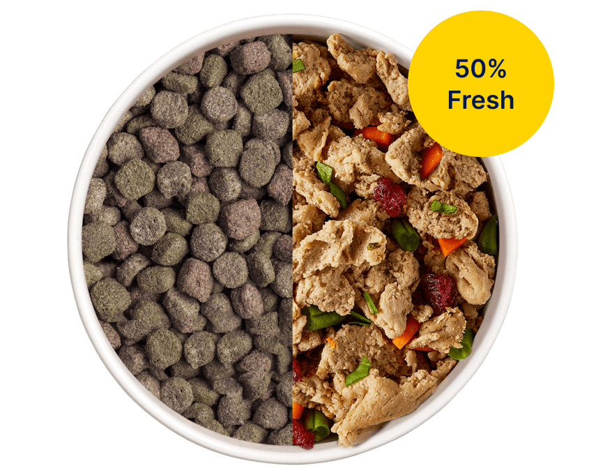 Freshpet Dog & Cat Food Products Petco