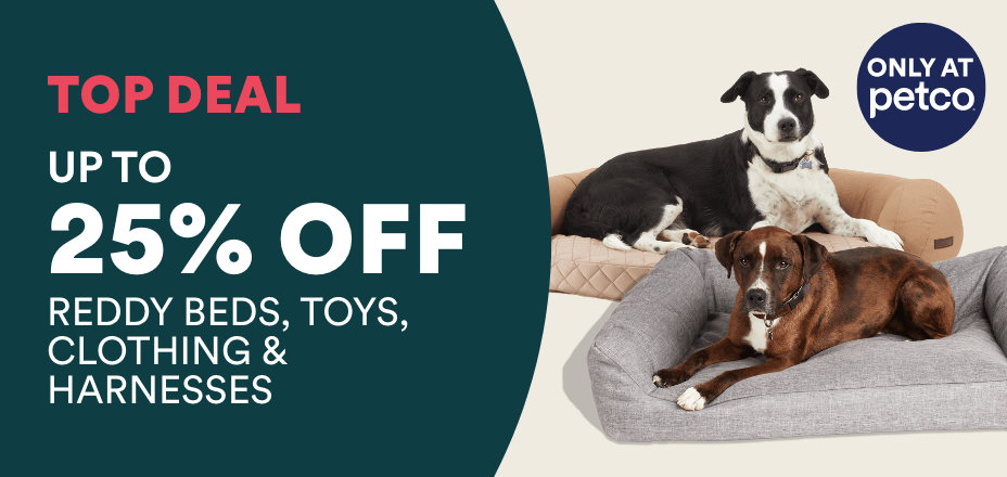 Petco puppy supplies best sale