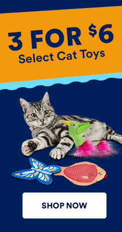 Can Be Rotated Fun Self-Hey Catnip Play Cat Toy Avocado Shape Catnip -  China Toy and Dog Toy price