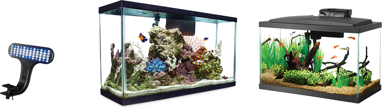 Aqueon Standard Open-Glass Glass Aquarium Tank, 29 Gallon