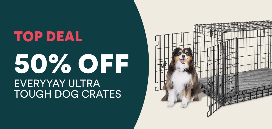 Large dog crate pet supplies plus hotsell