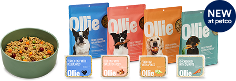 Ollie Fresh & Frozen Dog Food | Petco