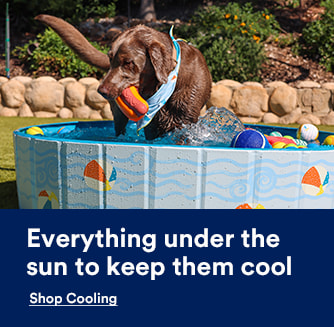 Everything under the sun to keep them cool. Shop Cooling.