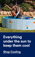 Everything under the sun to keep them cool. Shop Cooling.