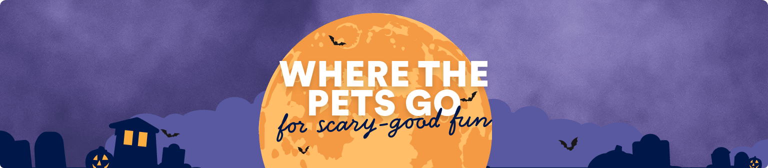 Where the pets go for scary-good fun. Shop Halloween. Bootique. Exclusively at Petco.