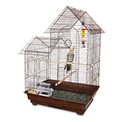 Bird Store Supplies Bird Accessories Products Petco