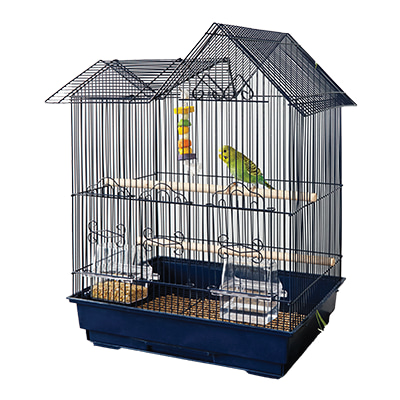 Pet bird accessories 2025