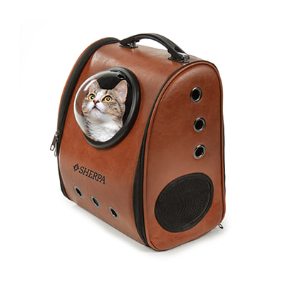 Kitten Cat Supplies Food Litter Furniture More Petco