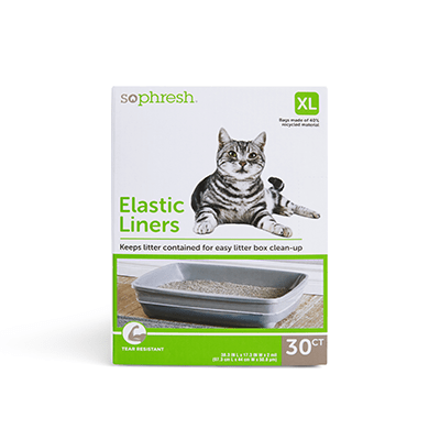 Kitten Cat Supplies Food Litter Furniture More Petco