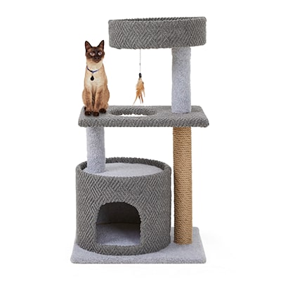Petco cat stuff store