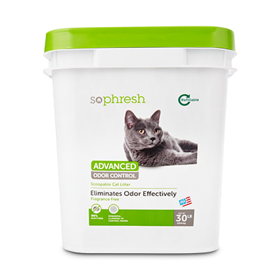 Kitten Cat Supplies Food Litter Furniture More Petco