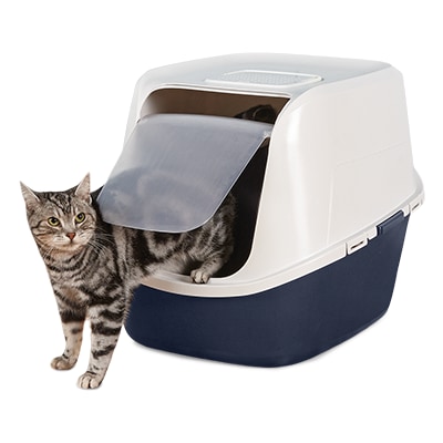 Buy cat supplies 2025