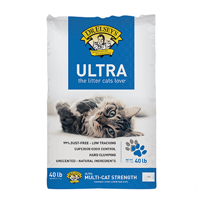 Kitten Cat Supplies Food Litter Furniture More Petco