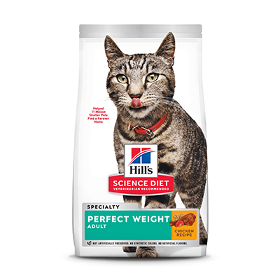 Kitten Cat Supplies Food Litter Furniture More Petco