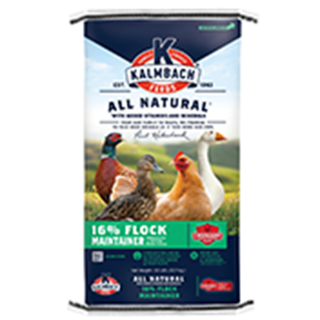 Farm Feed Store Supplies for Horses Chickens Pigs Petco
