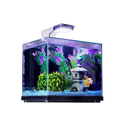 Fish Supplies Aquarium Supplies Accessories Petco