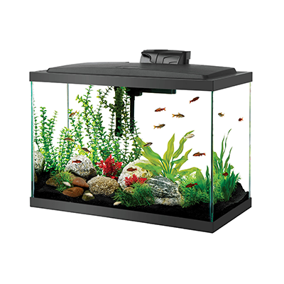 Best place to buy aquarium supplies deals