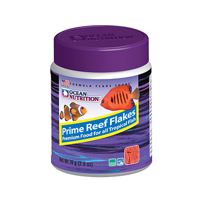 Petco fish supplies outlet