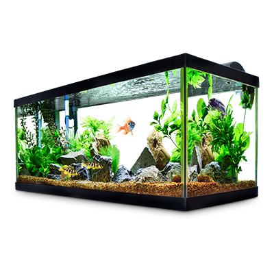 Fish tank equipment near me outlet