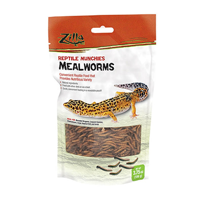 Reptile Store Supplies Accessories Products Petco