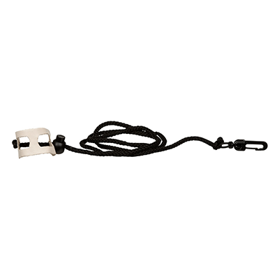 Reptile Store Supplies Accessories Products Petco