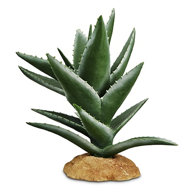Petco reptile supplies outlet