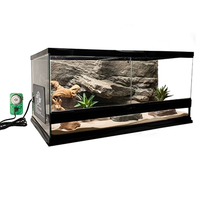 Reptile tank supplies cheap