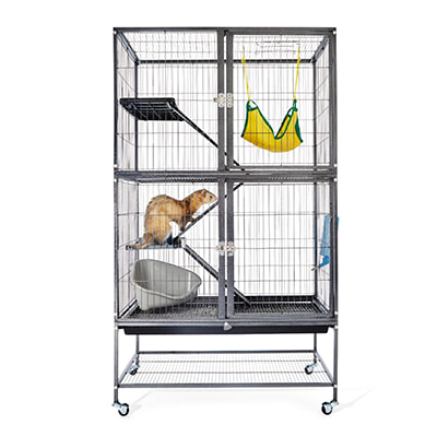 Small Animal Supplies Products Accessories Petco