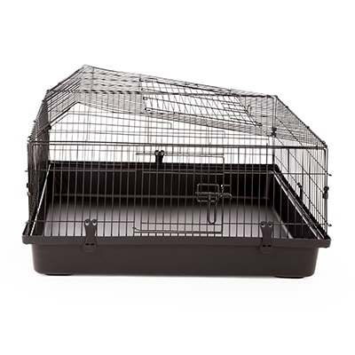 Small pet supplies online discount
