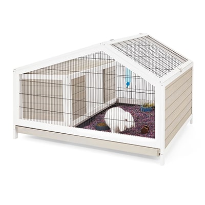 Small animal pet stores near me top
