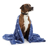 Puppy Dog Supplies Dog Food Beds Kennels More Petco