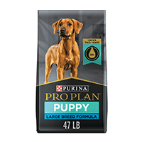 Puppy Dog Supplies Dog Food Beds Kennels More Petco