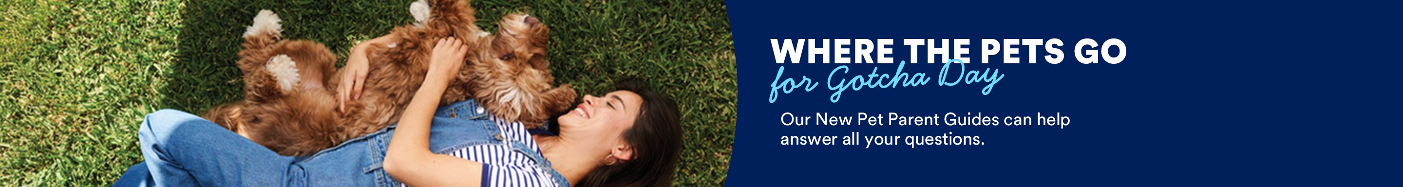Where the pets go for Gotcha Day. Our New Pet Parent Guides can help answer all your questions.