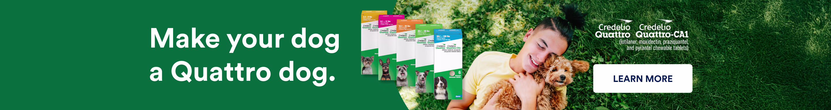 Make your dog a Quattro dog. Credelio Quattro. Learn more.