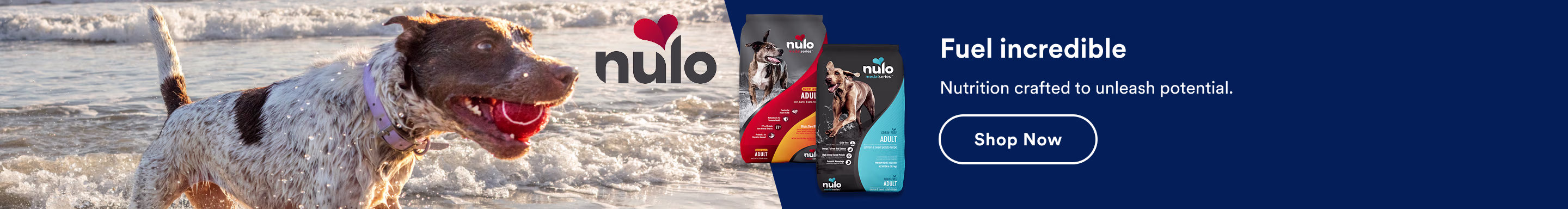 Nulo. Fuel incredible. Nutrition crafted to unleash potential. Shop now.